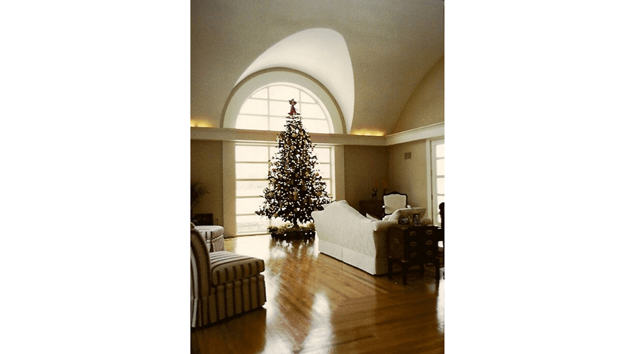 Living Room with Christmas Tree